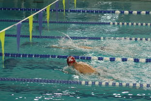 Jiu You-韩国男队自由泳爆发力惊人，韩国200米自由泳